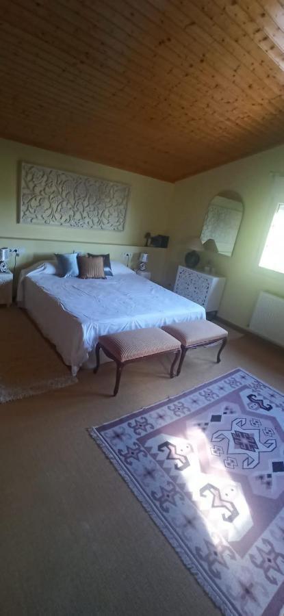 Vivienda El Olivo Con Piscina Privada Y Jardin. Villa Ayegui Eksteriør bilde